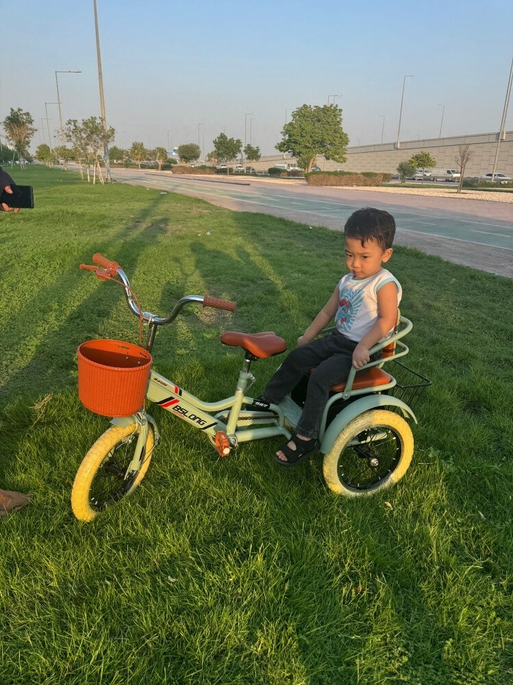 bicycle bike 3 tier Pedicab tric - 5
