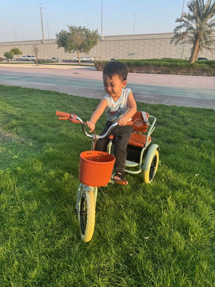 bicycle bike 3 tier Pedicab tric - 7
