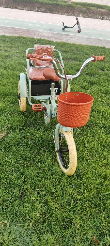 bicycle bike 3 tier Pedicab tric - 1