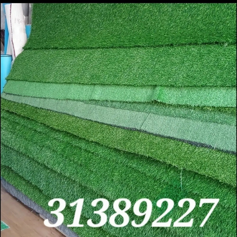 you need carpet curtain sofa etc - 4