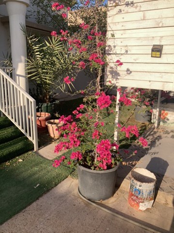 for sale - 3