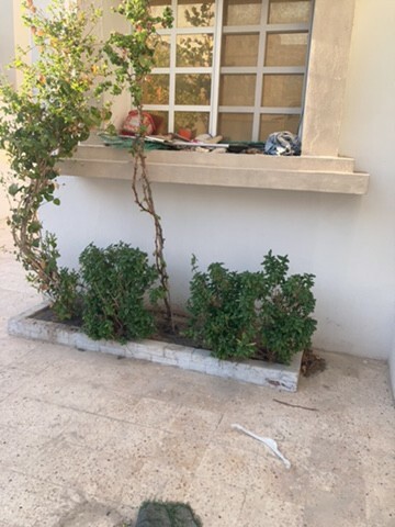 for sale - 2