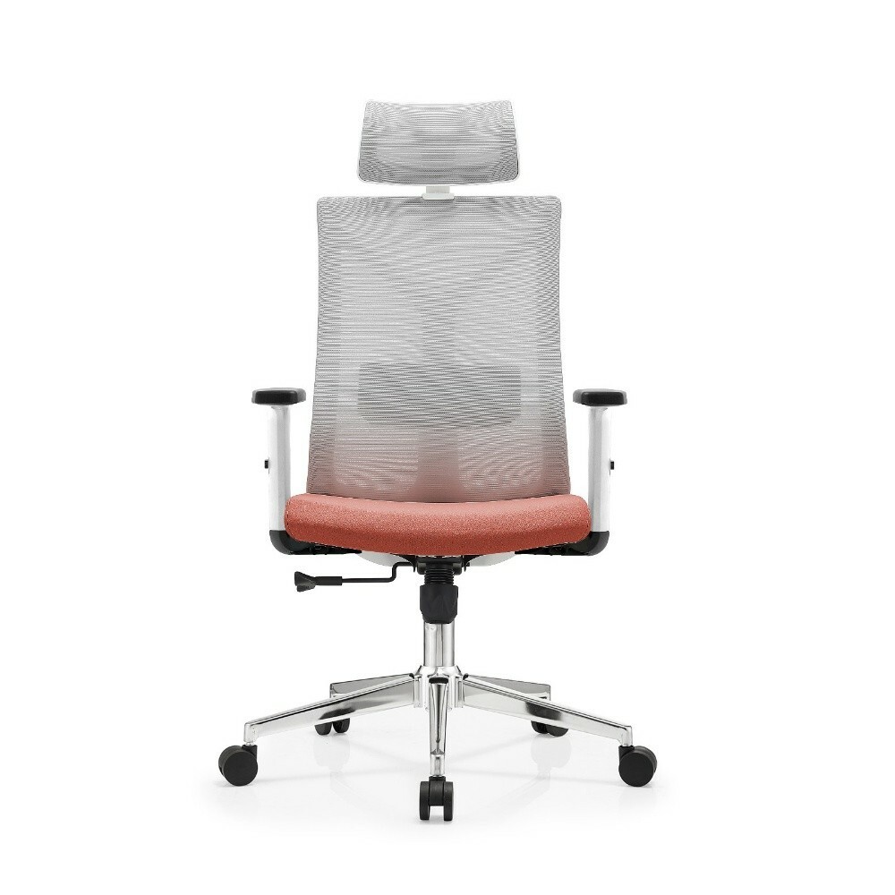 Office Chairs ( brand new) - 20