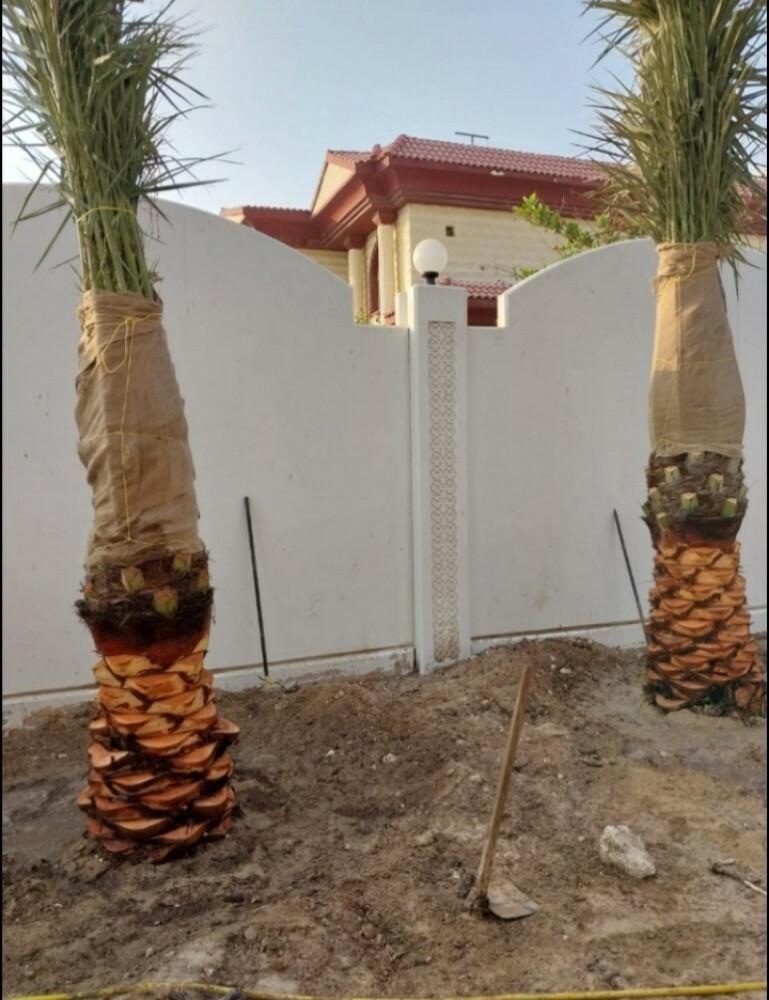 شركة زراعيه - 4