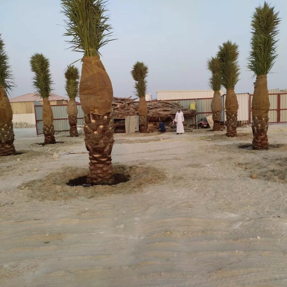 شركة زراعيه - 5