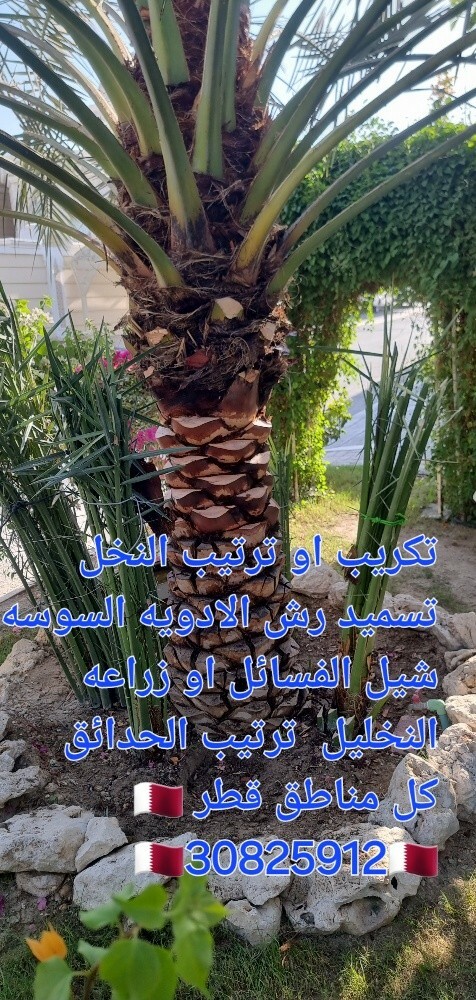 زراع حسین العراقی للنخل ول حدائق - 1