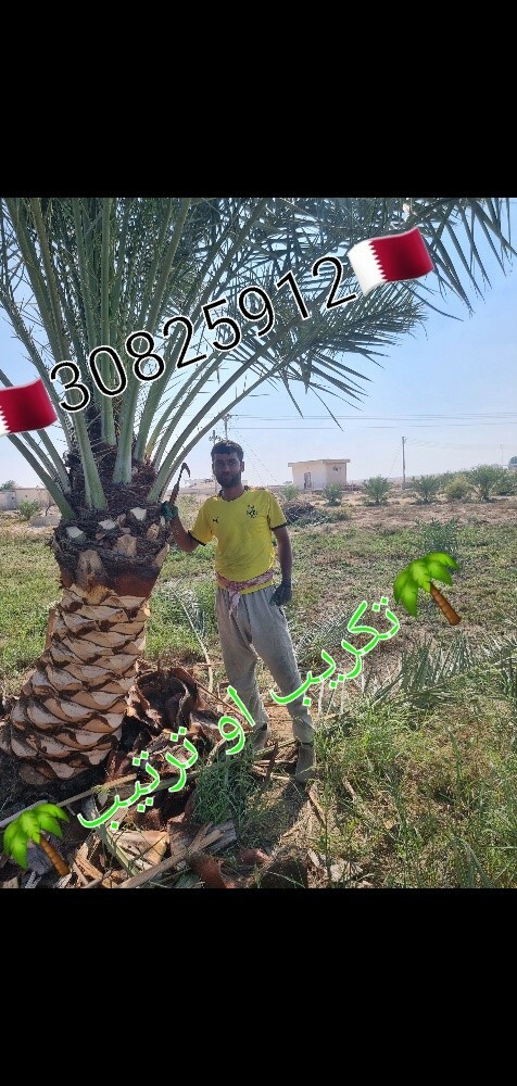 زراع حسین العراقی للنخل ول حدائق - 6