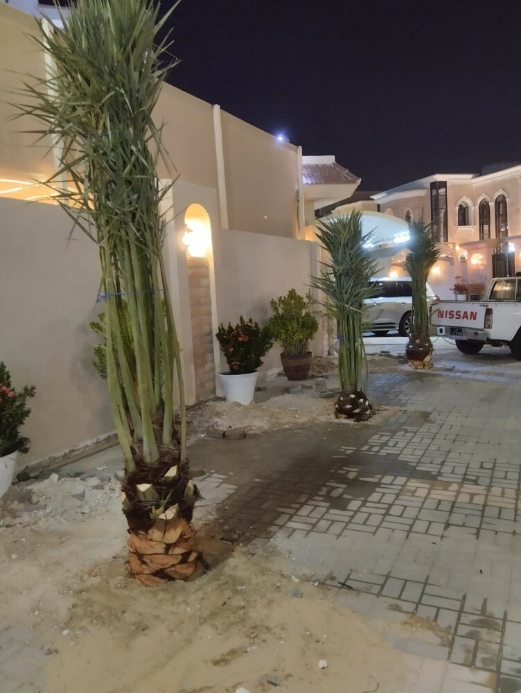 زراع حسین العراقی للنخل ول حدائق - 3