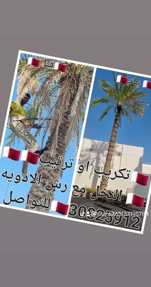 زراع حسین العراقی للنخل ول حدائق - 9