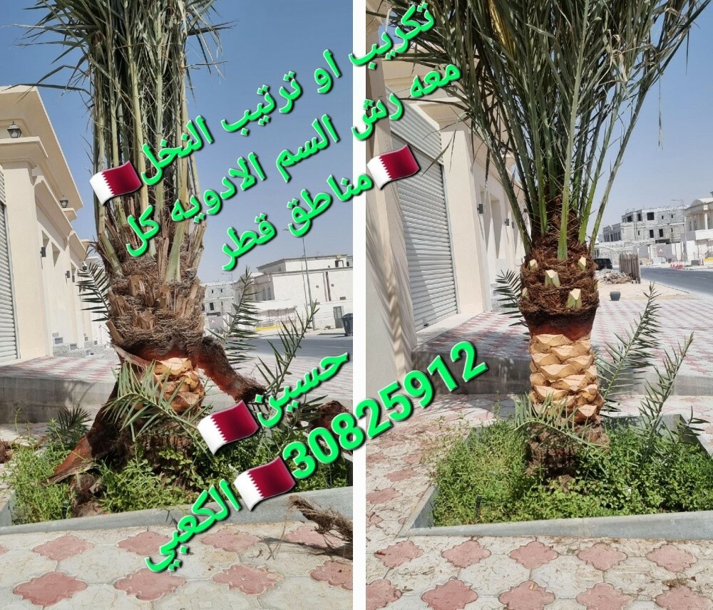 زراع حسین العراقی للنخل ول حدائق - 11