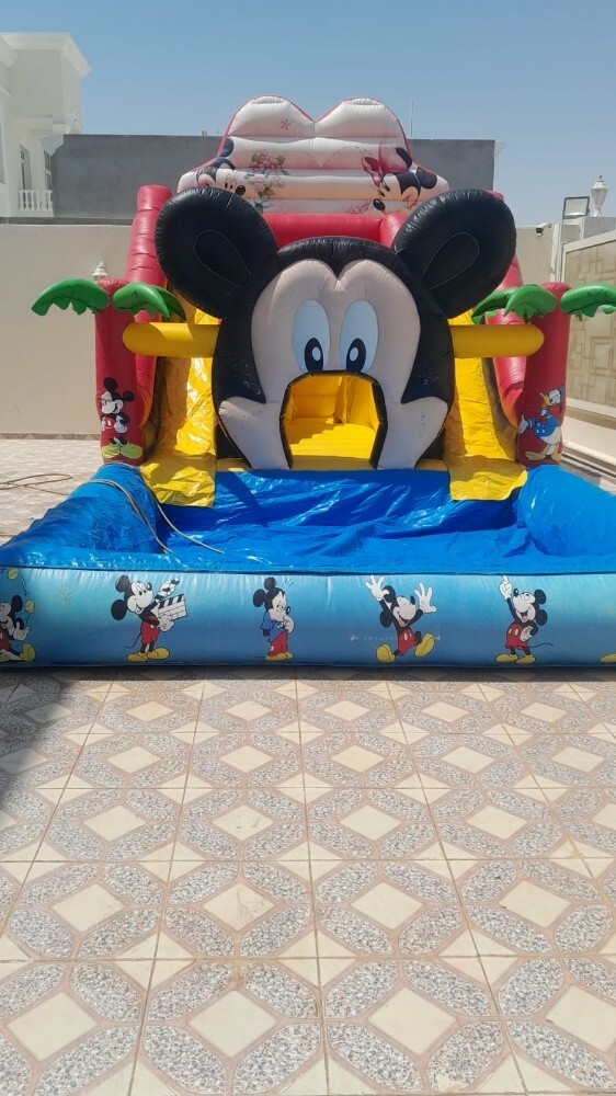 نطاطيات - 7