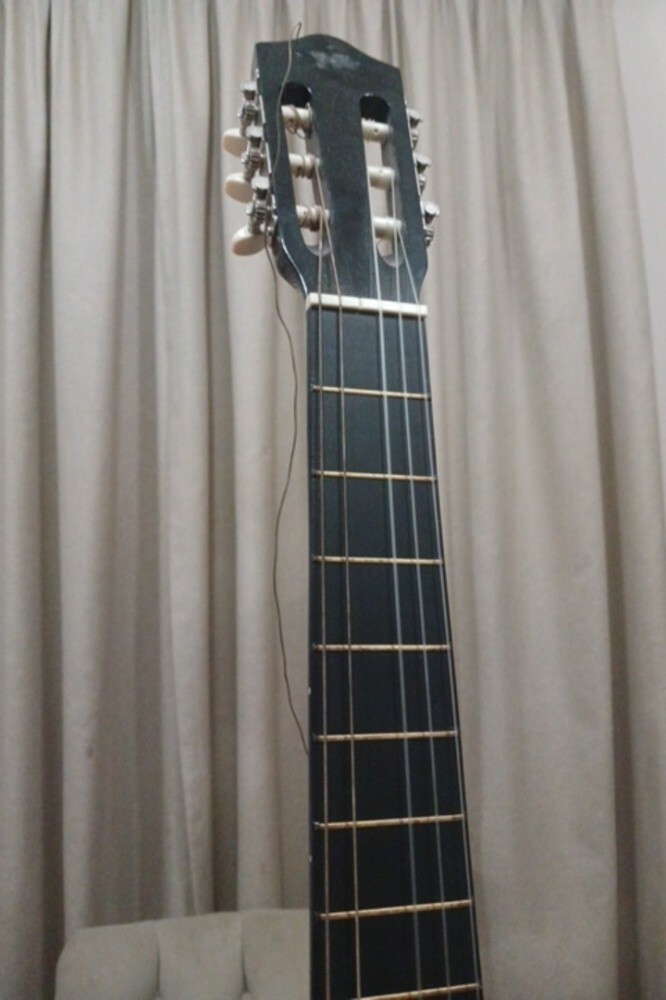 musical instrument (guitar) - 4