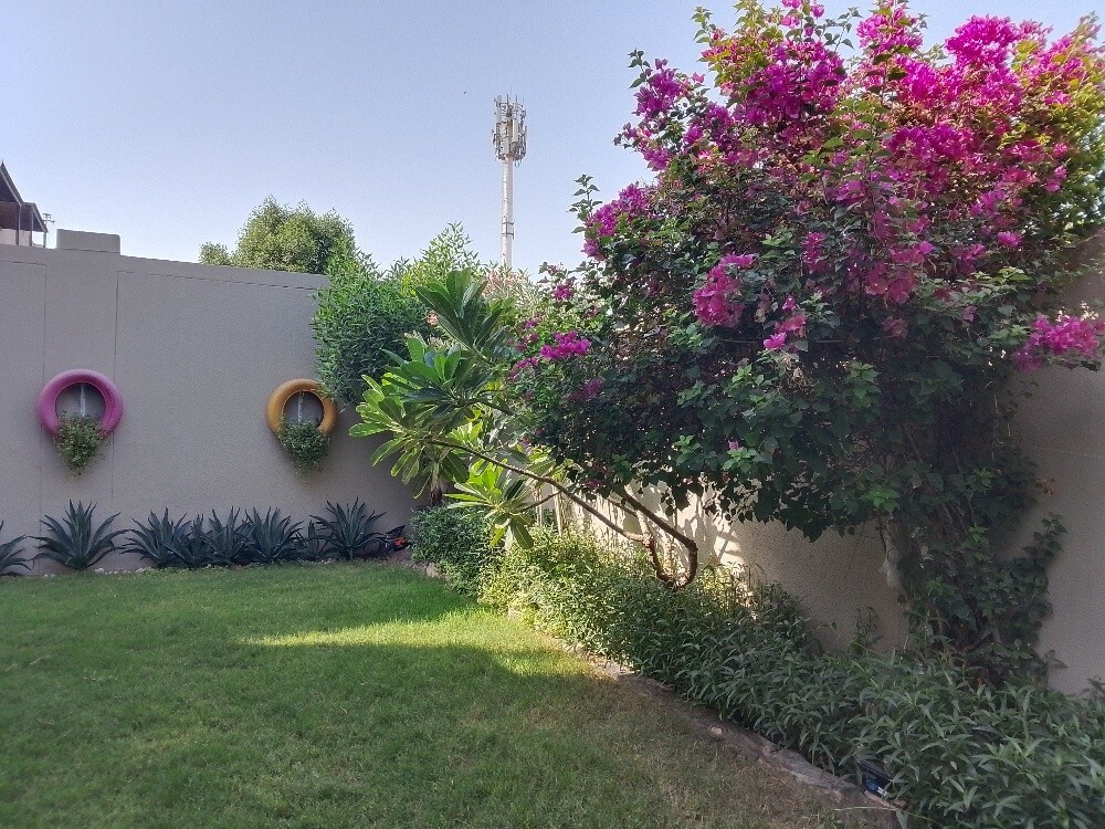 Ali Al Baloshi - 2