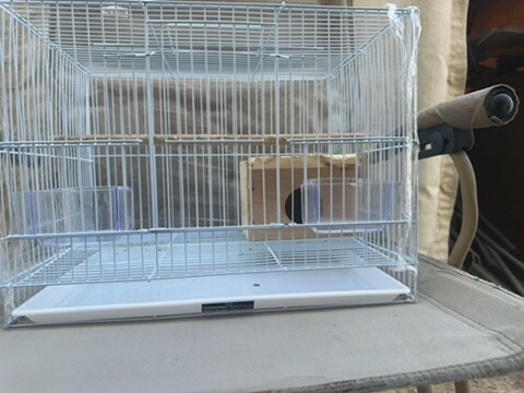 cage with wooden box  - 1