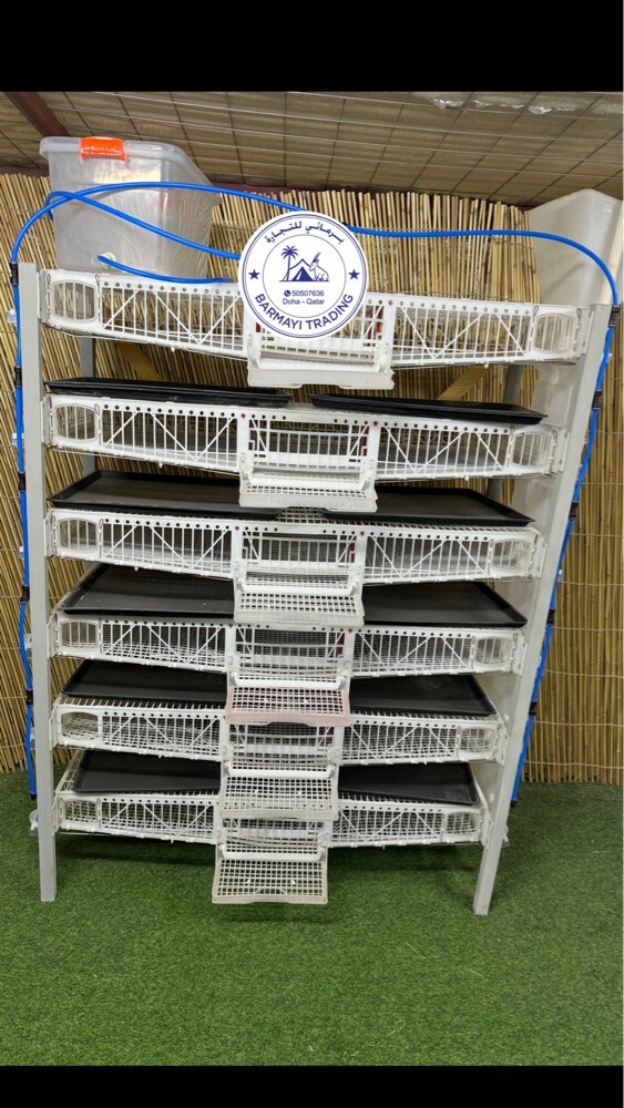 Quail breeding cage - 1