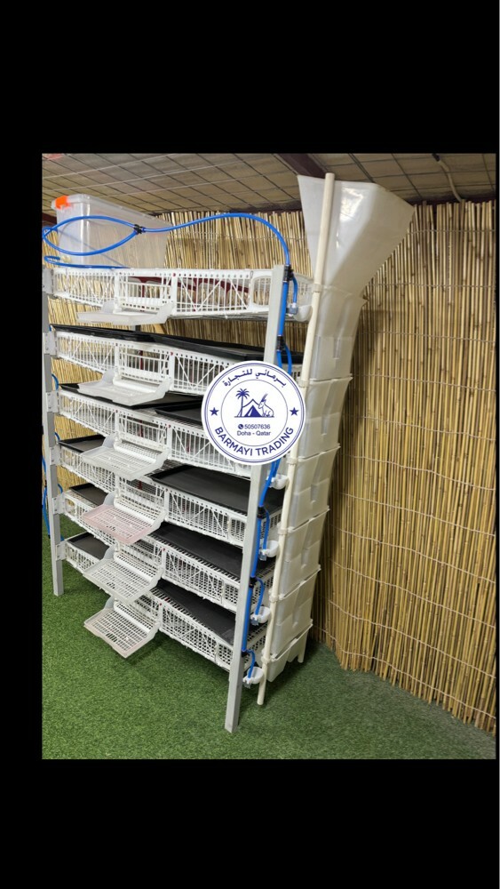 Quail breeding cage - 4