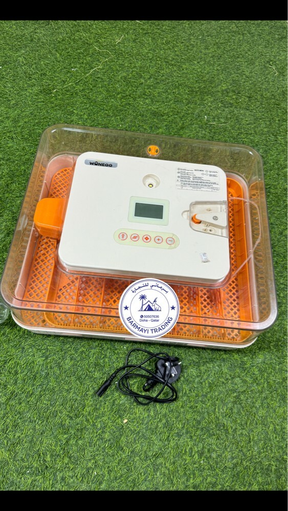 Egg incubators available - 1