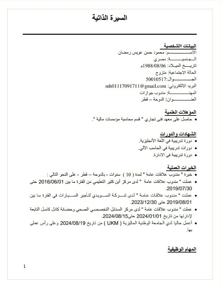 Mahmoud Ramadan - 3
