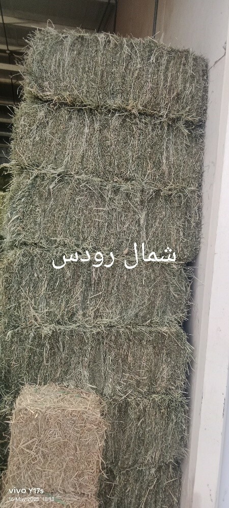Alamgir - 15