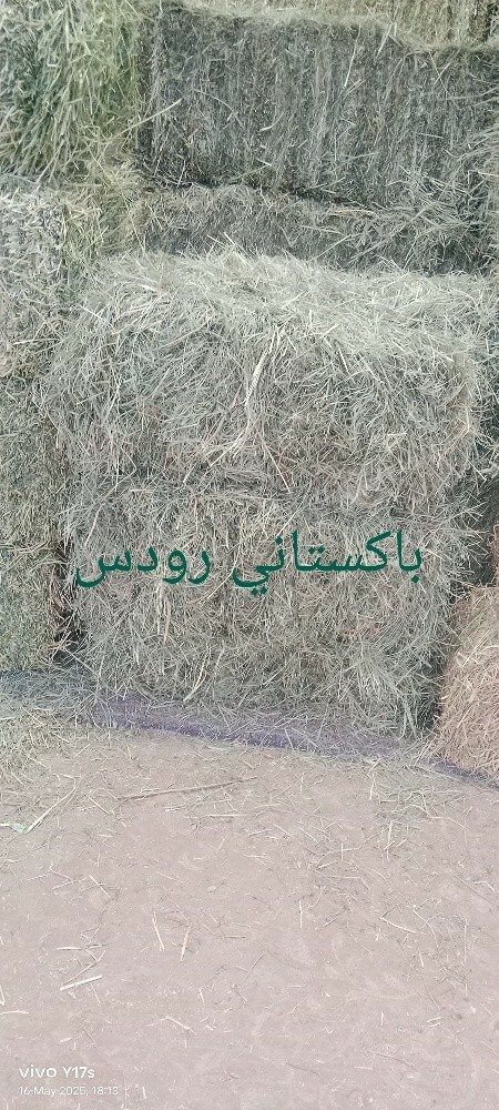 Alamgir - 16