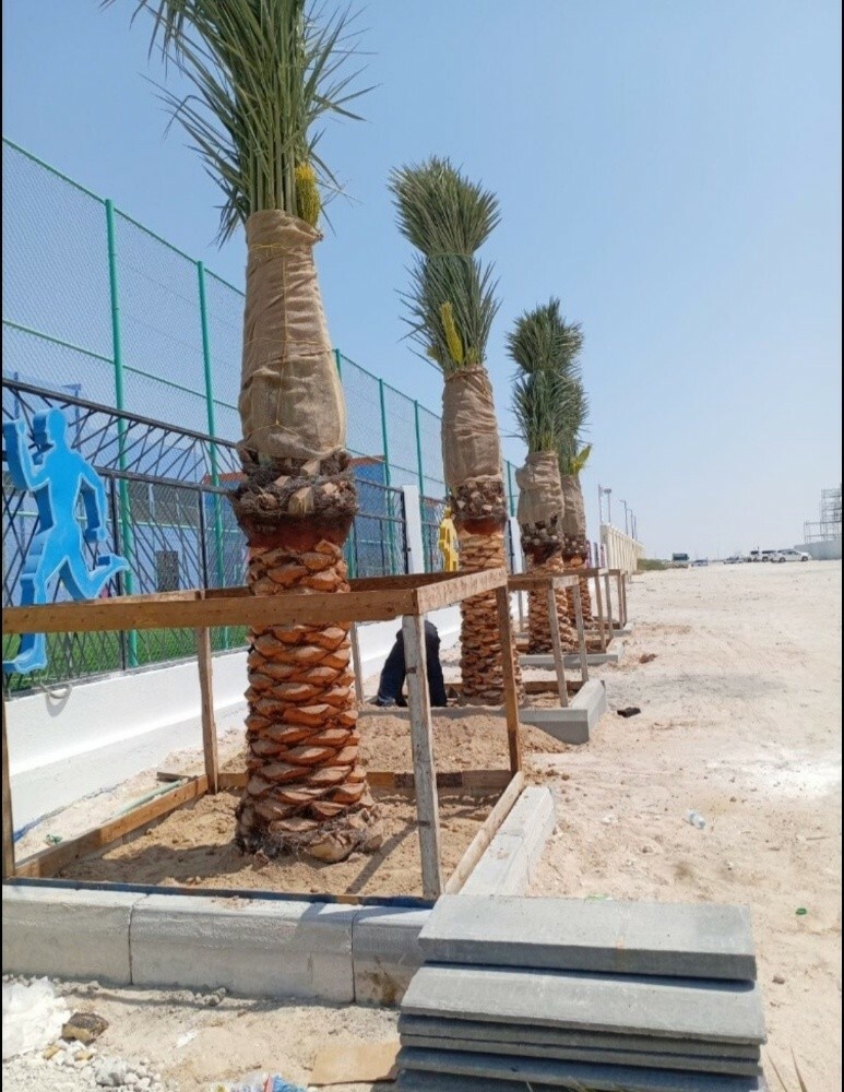 شركة زراعيه - 1