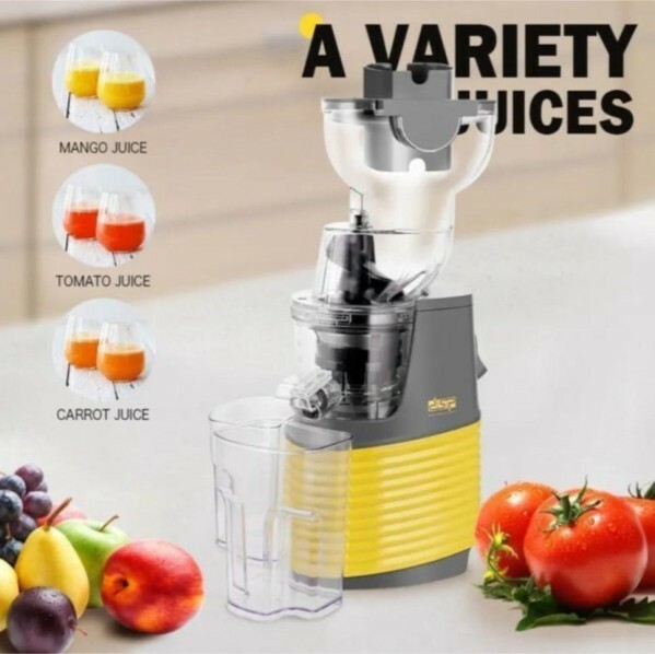 DSP Professional Juicer 250W - 5