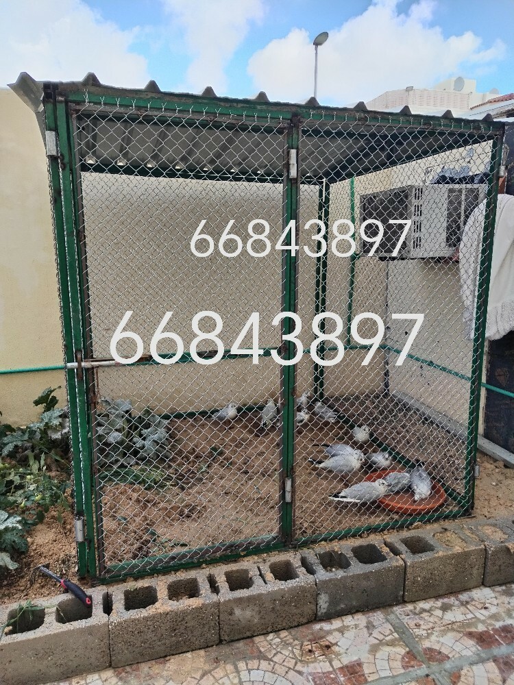 ?2/2=القفص - 3