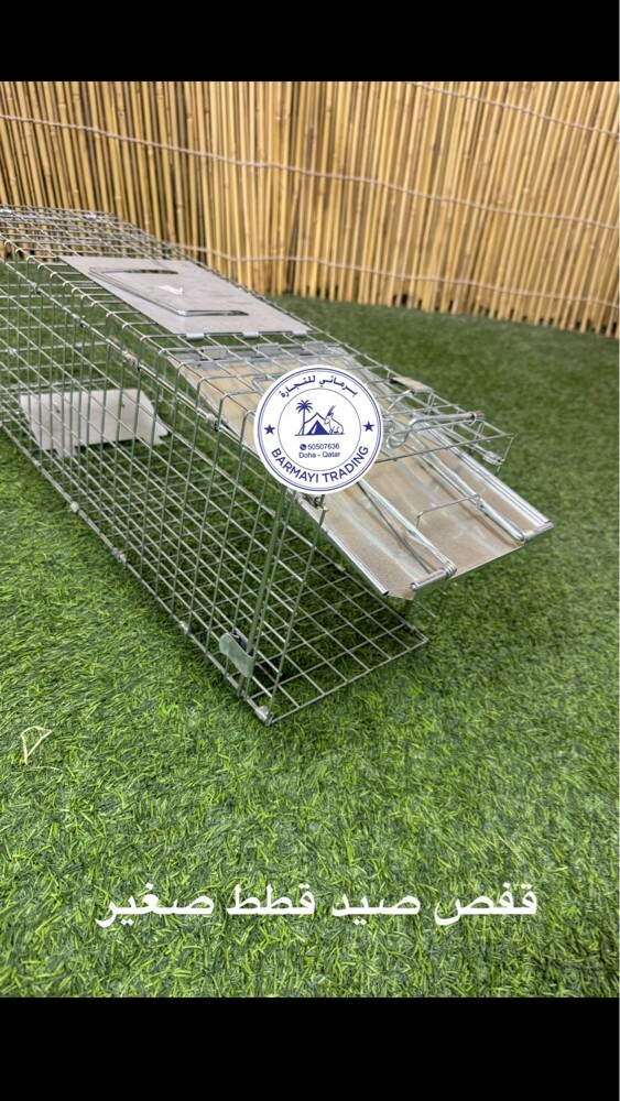 Cat hunting traps - 1