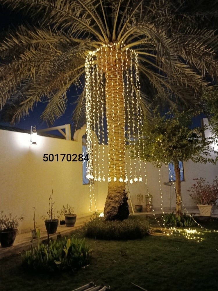 ليتات اعراس - 16