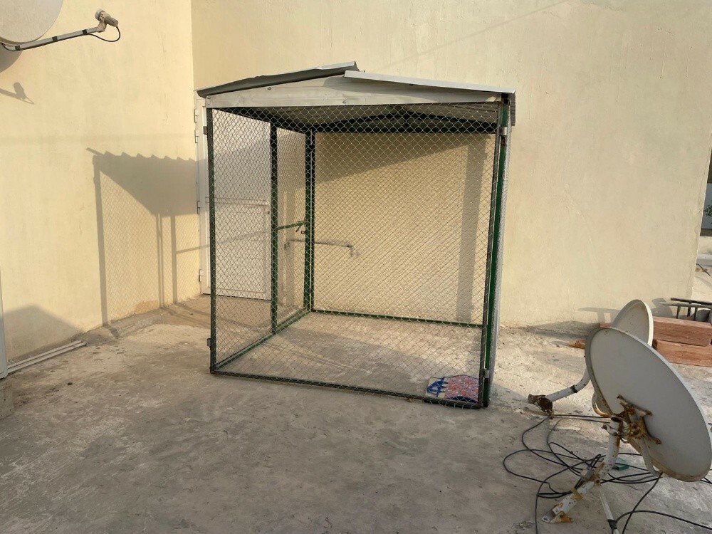 كاجيس - 2