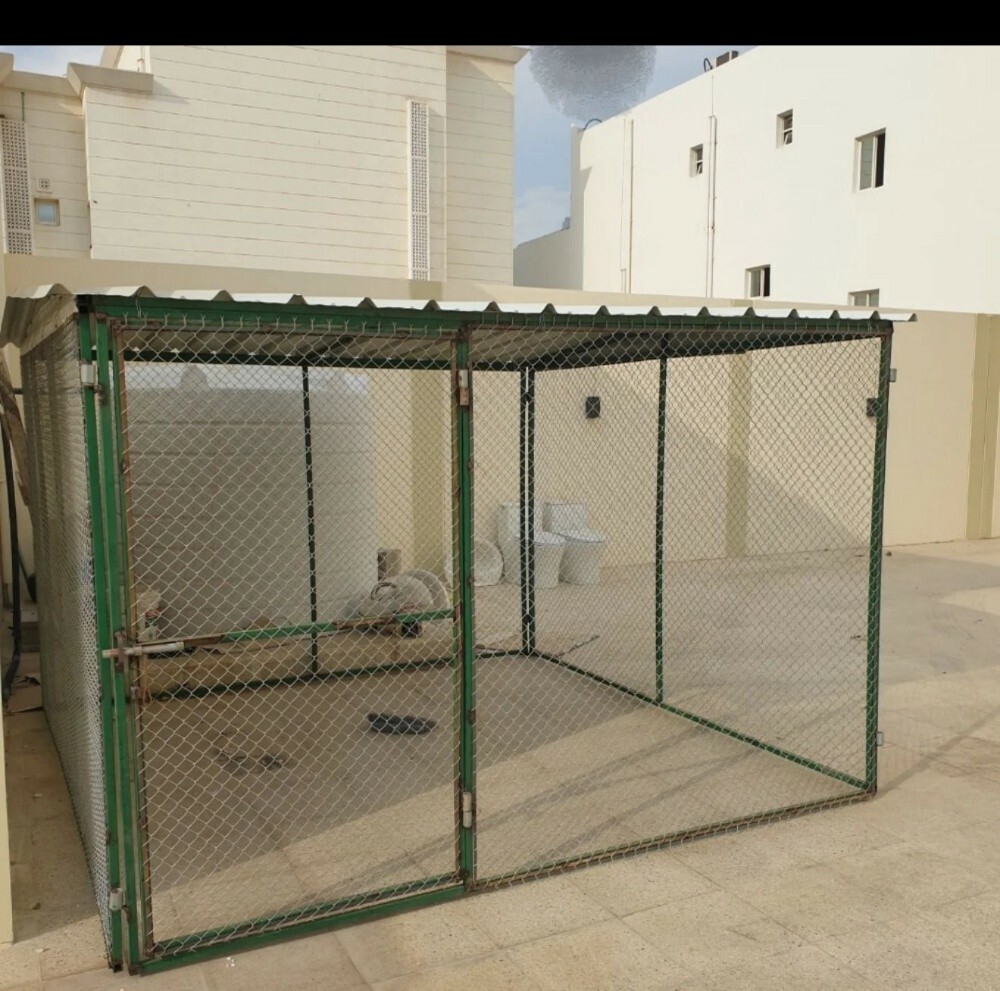 كاجيس - 3