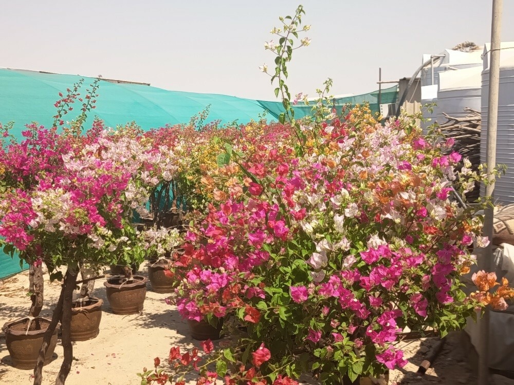 مهندس زراعي - 3