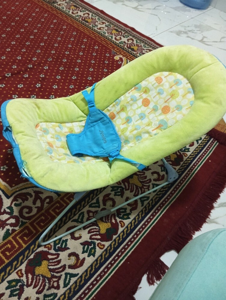 Baby bouncer - 2