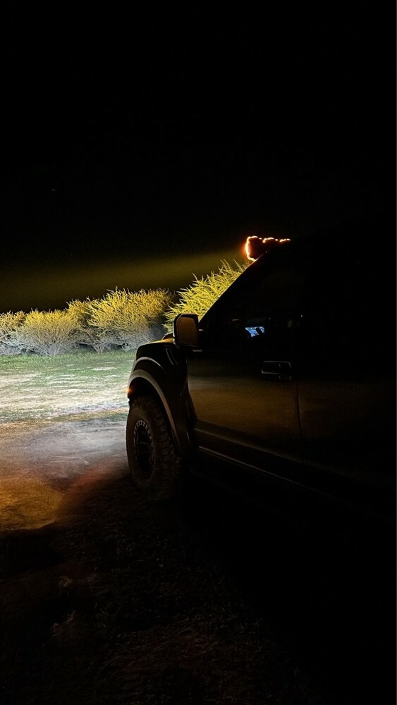 ford raptor - 2