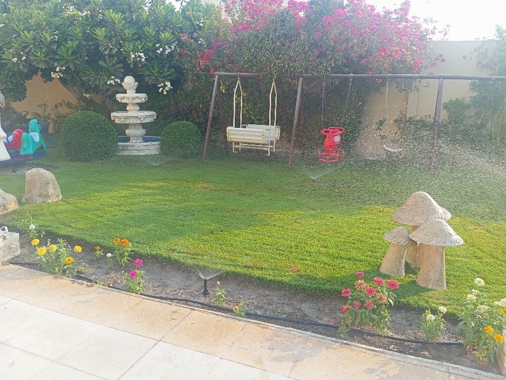 حماده - 10