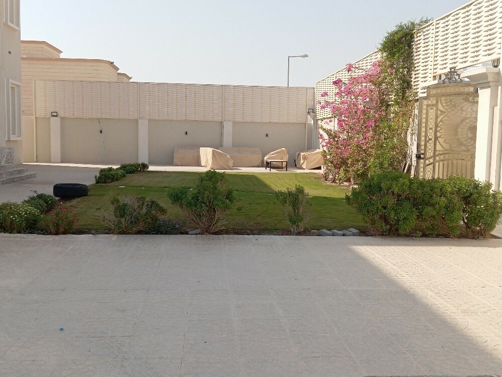 حماده - 6