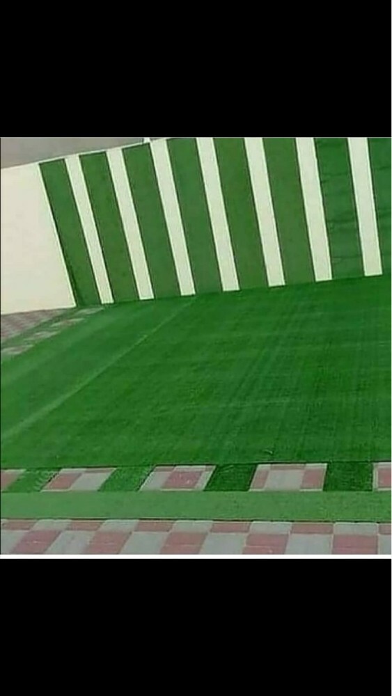 جلسات وسجاد وعشب اخضر وستائر  - 3