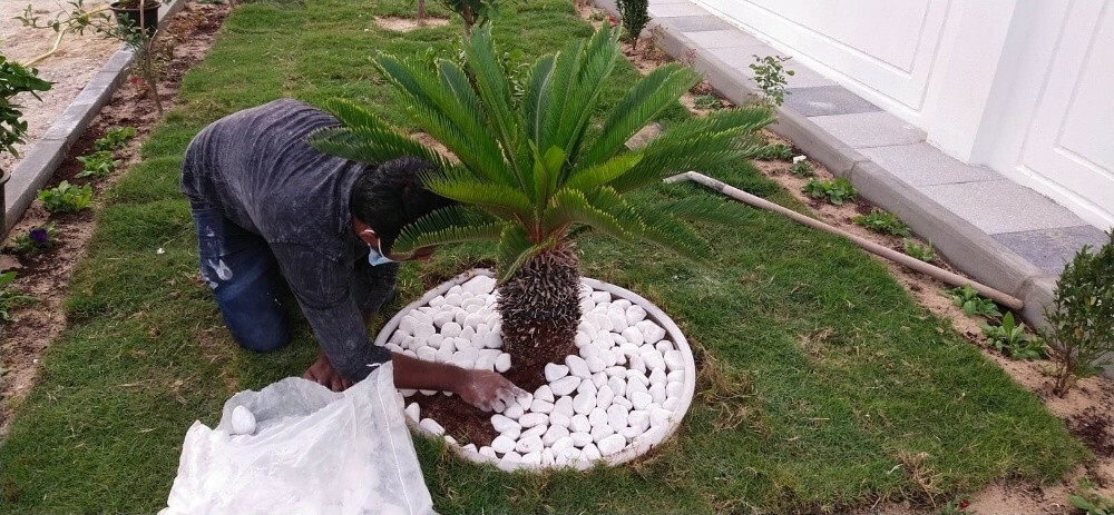 total gardan - 15
