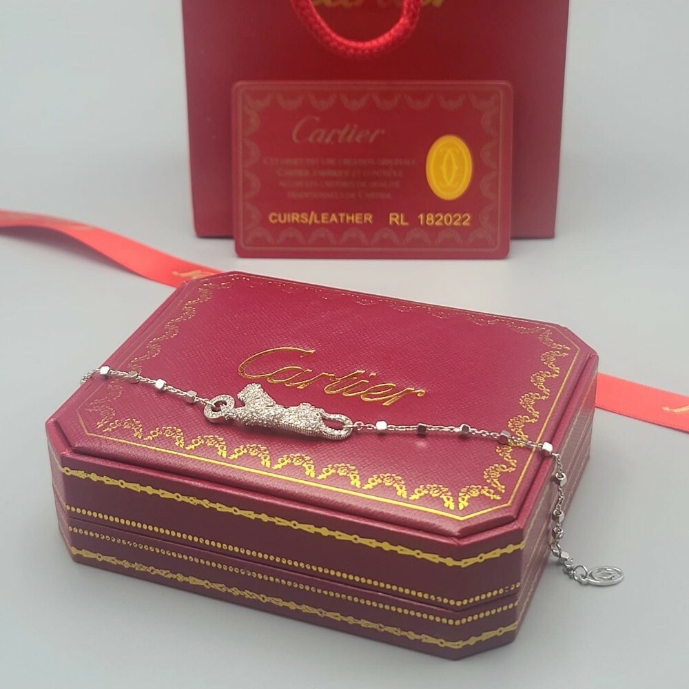 اساور ماستر ضد لماء طلاء ثابت - 1