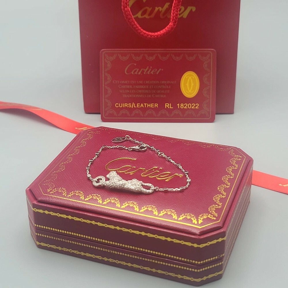 اساور ماستر ضد لماء طلاء ثابت - 2