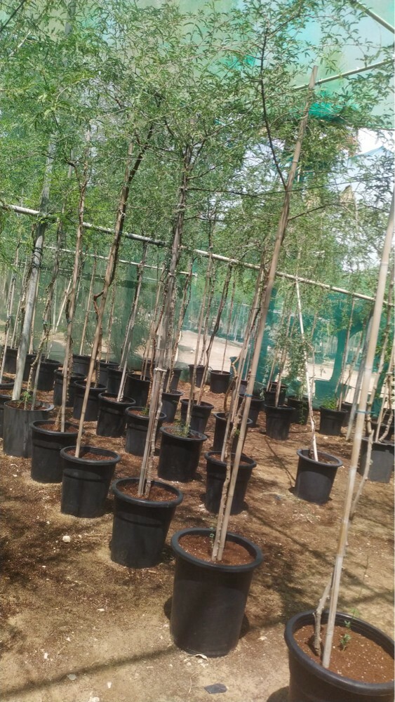 عمل شبكات الرى - 1
