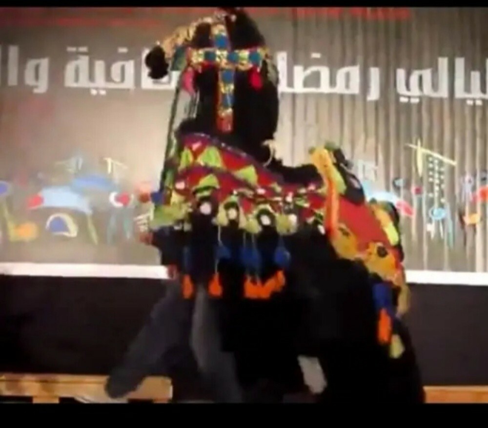 النسر الذهبي للحفلات والزفه - 8