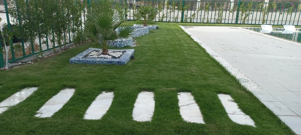 زراعه العشب الطبيعي - 4