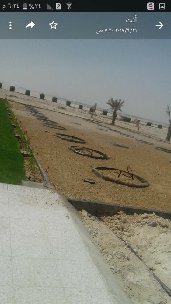 زراعه العشب الطبيعي - 1