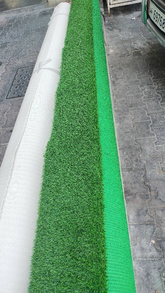 gras carpet - 4