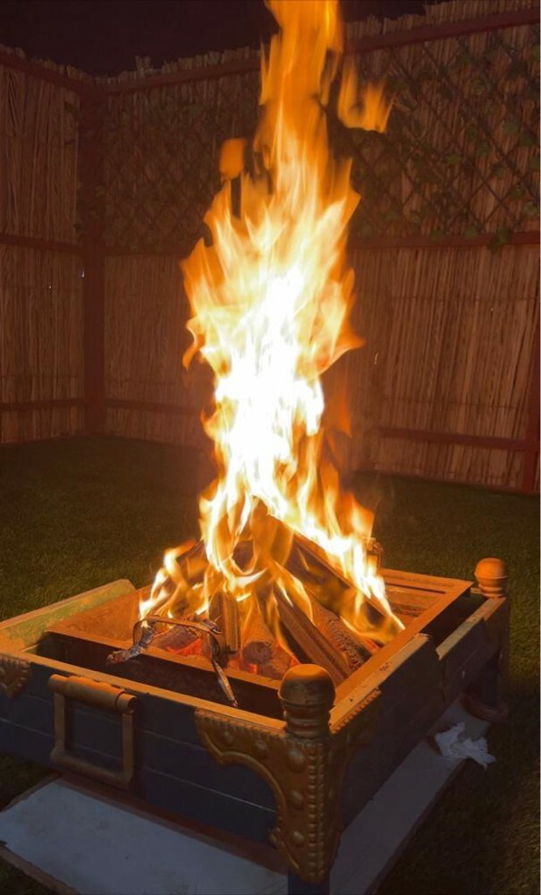 Black firewood, eco-friendly - 4