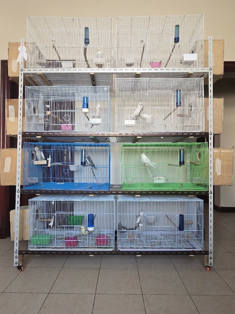 Cage stand - 1