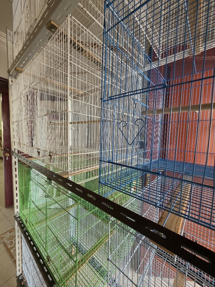 Cage stand - 5
