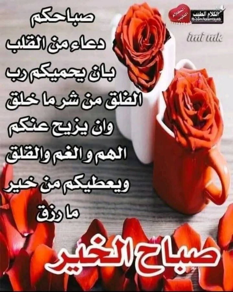 سلافة محمد - 1