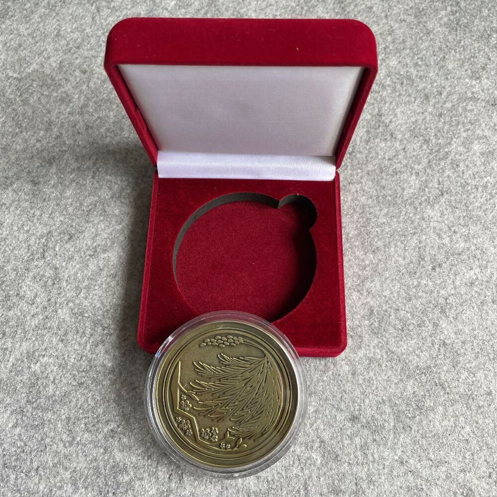 Qatar Japan medal - 2